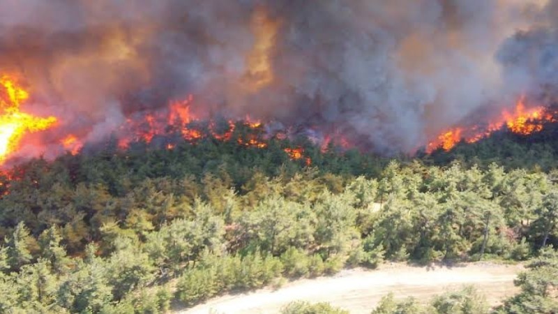 MADRAN DAĞINDA YANGIN BAŞLADI